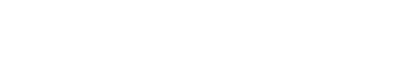 El Toro TV